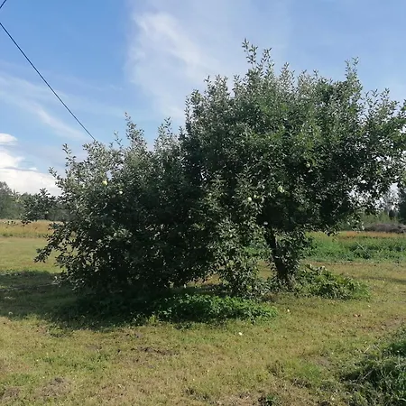 Вилла Sillavahi Maja Iigaste Экстерьер фото